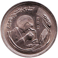 Монета 5 пиастров. 1978 год, Египет. ФАО. Продовольственная программа. Монета 5 пиастров. 1978 год, Египет. ФАО. Продовольственная программа.