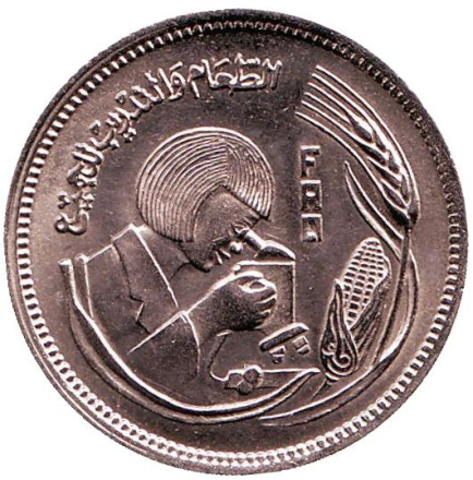 Монета 5 пиастров. 1978 год, Египет. ФАО. Продовольственная программа.
