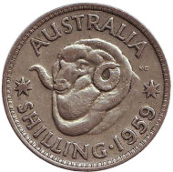 Монета 1 шиллинг. 1959 год, Австралия. Баран. Монета 1 шиллинг. 1959 год, Австралия. Баран.