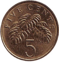 Монета 5 центов. 2007 год, Сингапур. Монстера деликатесная. Монета 5 центов. 2007 год, Сингапур. Монстера деликатесная.