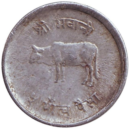 Монета 5 пайсов. 1982 год, Непал. (Старый тип) Бык.