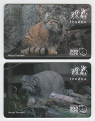 Комплект из 2-х электронных карт "Тройка". 2024 год. Россия, Москва. Московский зоопарк. Манул Тимофей. Комплект из 2-х электронных карт "Тройка". 2024 год. Россия, Москва. Московский зоопарк. Манул Тимофей.