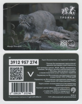 Комплект из 2-х электронных карт "Тройка". 2024 год. Россия, Москва. Московский зоопарк. Манул Тимофей.