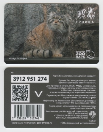 Комплект из 2-х электронных карт "Тройка". 2024 год. Россия, Москва. Московский зоопарк. Манул Тимофей.