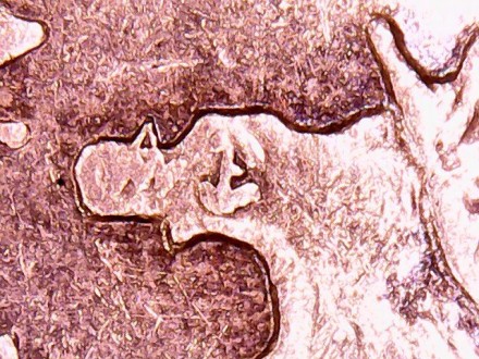 Монета 1 пенни. 1979 год, Остров Мэн. (AE) Мэнский лохтан. Монета 1 пенни. 1979 год, Остров Мэн. (AE) Мэнский лохтан.