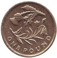 Монета 1 фунт. 2014 год, Великобритания. Флора Шотландии. Репей и колокольчик. Монета 1 фунт. 2014 год, Великобритания. Флора Шотландии. Репей и колокольчик.