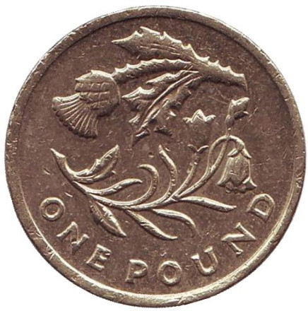 Монета 1 фунт. 2014 год, Великобритания. Флора Шотландии.
