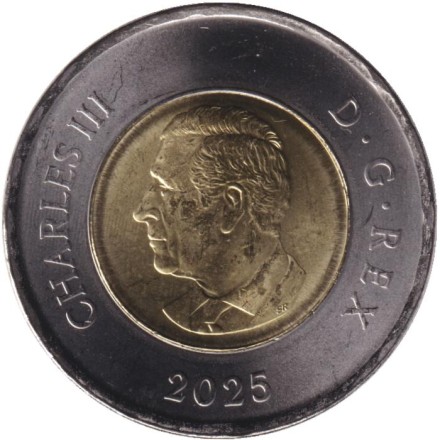 Монета 2 доллара. 2025 год, Канада. Чествование неизвестного солдата Канады. (Цветная).