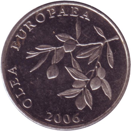 Монета 20 лип. 2006 год, Хорватия. Олива европейская.