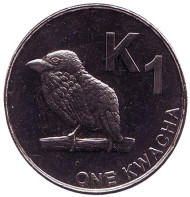 Монета 1 квача. 2012 год, Замбия. Замбийский дятел.