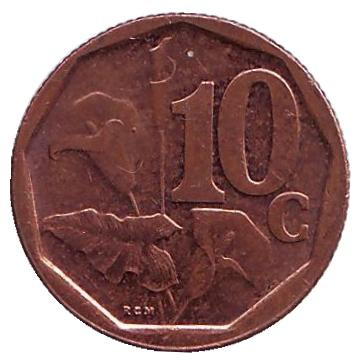 Монета 10 центов. 2016 год, Южная Африка. Лилия.