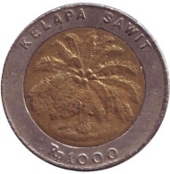 Монета 1000 рупий. 1993 год, Индонезия. Пальма.