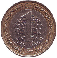 1 лира. 2009 год, Турция.