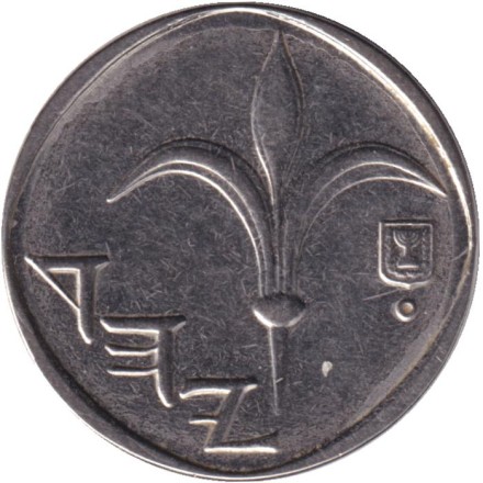 Монета 1 новый шекель. 2007 год, Израиль. Монета 1 новый шекель. 2007 год, Израиль.
