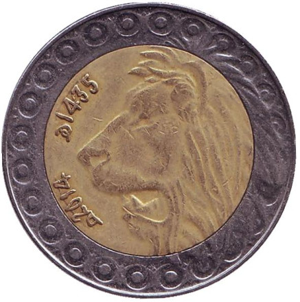 Монета 20 динаров. 2014 год, Алжир. Лев.
