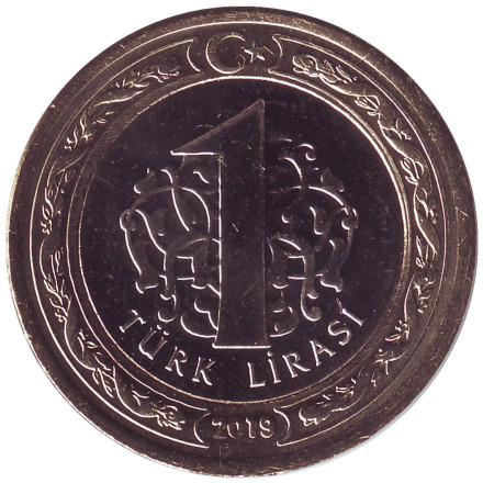 Монета 1 лира. 2019 год, Турция. UNC.