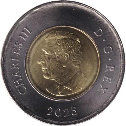 Монета 2 доллара. 2025 год, Канада. Чествование неизвестного солдата Канады.