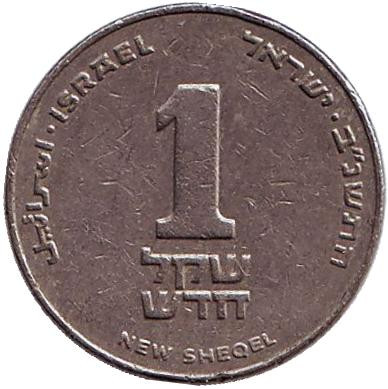 Монета 1 новый шекель. 1992 год, Израиль. (без подсвечника)