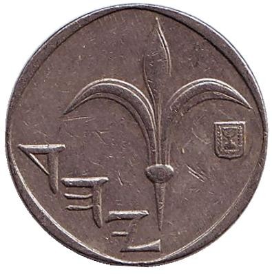Монета 1 новый шекель. 1992 год, Израиль.