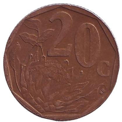 Монета 20 центов. 1998 год, ЮАР. Цветок протея.