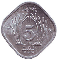 Монета 5 пайсов. 1974 год, Пакистан. Монета 5 пайсов. 1974 год, Пакистан.