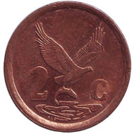 Монета 2 цента. 1998 год, ЮАР. Орёл. Монета 2 цента. 1998 год, ЮАР. Орёл.