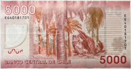 Банкнота 5000 песо. 2014 год, Чили. Банкнота 5000 песо. 2014 год, Чили.