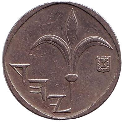 Монета 1 новый шекель. 1993 год, Израиль. Ханука.