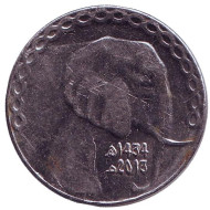 Монета 5 динаров. 2013 год, Алжир. Слон. Монета 5 динаров. 2013 год, Алжир. Слон.