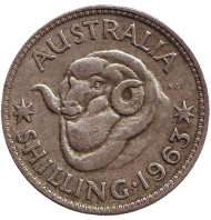 Монета 1 шиллинг. 1963 год, Австралия. Баран. Монета 1 шиллинг. 1963 год, Австралия. Баран.