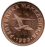 Монета 50 дени. 1993 год, Македония. UNC. Чайка. Монета 50 дени. 1993 год, Македония. UNC. Чайка.