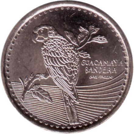 Монета 200 песо. 2023 год, Колумбия. Красный ара. Монета 200 песо. 2023 год, Колумбия. Красный ара.