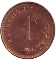 Монета 1 цент. 1977 год, Родезия. aUNC. Монета 1 цент. 1977 год, Родезия. aUNC.