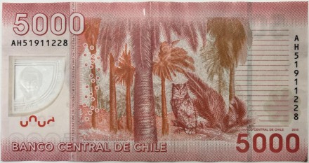 Банкнота 5000 песо. 2015 год, Чили. Банкнота 5000 песо. 2015 год, Чили.