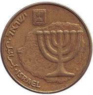 Монета 10 агор. 1995 год, Израиль. Менора (Семисвечник). Монета 10 агор. 1995 год, Израиль. Менора (Семисвечник).