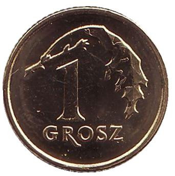 Монета 1 грош. 2017 год, Польша. Дубовый лист.