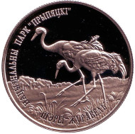 Монета 1 рубль. 2004 год, Беларусь. Серый журавль. Национальный парк "Припятский". Монета 1 рубль. 2004 год, Беларусь. Серый журавль. Национальный парк "Припятский".