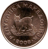 Монета 5 денаров, 2008 год, Македония. Европейская рысь. Монета 5 денаров, 2008 год, Македония. Европейская рысь.