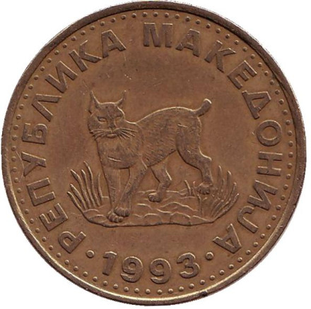 Монета 5 денаров, 1993 год, Македония. Европейская рысь.