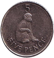 Монета 5 пенсов. 2010 год, Гибралтар. Варварийская обезьяна.