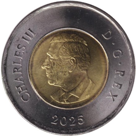 Монета 2 доллара. 2025 год, Канада. Народная певица Дафна Оджиг.