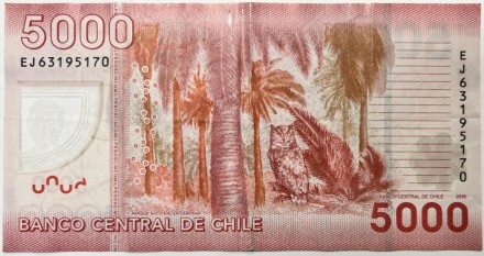 Банкнота 5000 песо. 2016 год, Чили. Банкнота 5000 песо. 2016 год, Чили.
