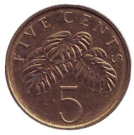 Монета 5 центов. 2001 год, Сингапур. Монстера деликатесная. Монета 5 центов. 2001 год, Сингапур. Монстера деликатесная.