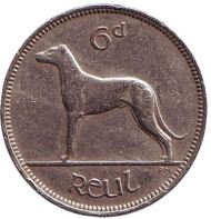 Монета 6 пенсов. 1952 год, Ирландия. Ирландский волкодав.