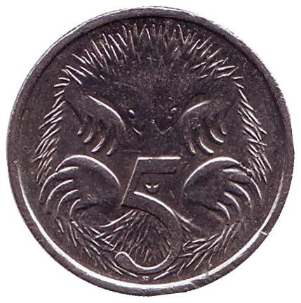 Монета 5 центов. 2017 год, Австралия. Ехидна.