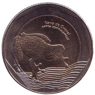 Монета 500 песо. 2016 год, Колумбия. UNC. Стеклянная лягушка. Монета 500 песо. 2016 год, Колумбия. UNC. Стеклянная лягушка.