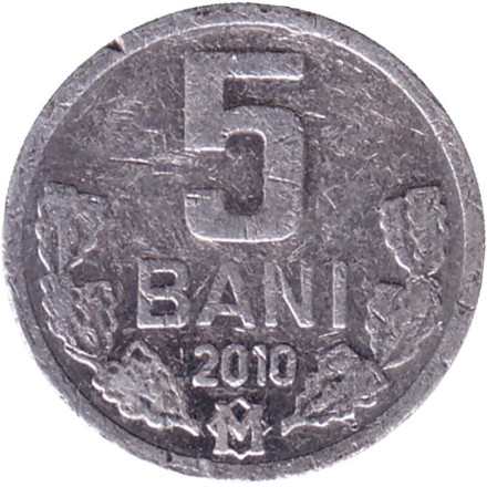 Монета 5 бани. 2010 год, Молдавия.