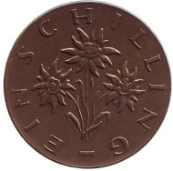 Монета 1 шиллинг. 1968 год, Австрия. Эдельвейс. Монета 1 шиллинг. 1968 год, Австрия. Эдельвейс.