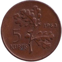 Дубовая ветвь. Монета 5 курушей. 1963 год, Турция.