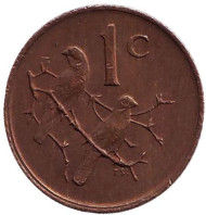 Монета 1 цент. 1972 год, ЮАР. Воробьи. Монета 1 цент. 1972 год, ЮАР. Воробьи.
